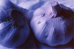Blue Garlic - Click to enlarge