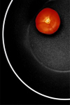 Tomato in Pan - Click to enlarge